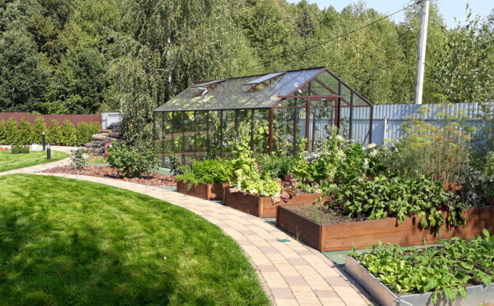 Greenhouse on the site