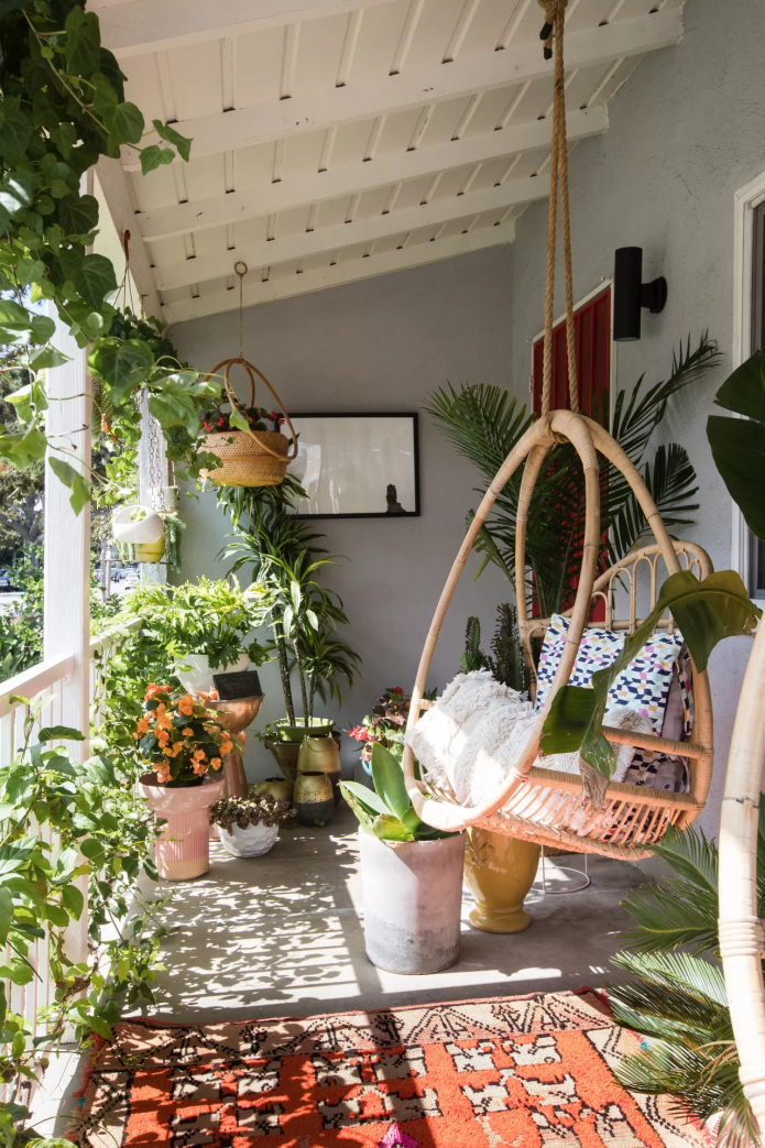 Plants and hanging chair