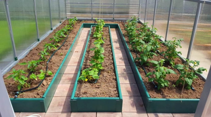 three beds in a greenhouse