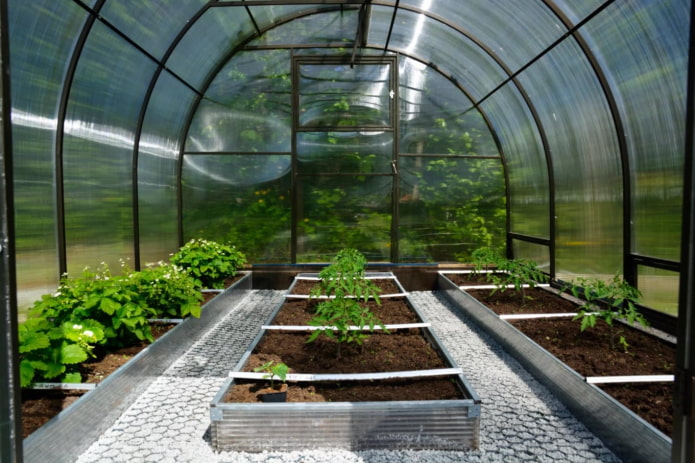 mga galvanized na kama sa greenhouse