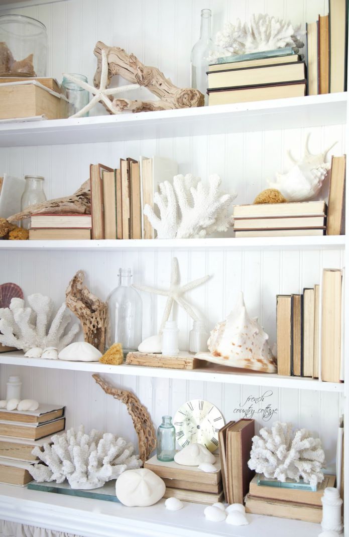 corals on the shelves