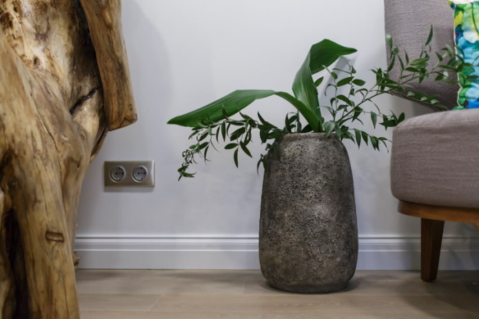 Vase-pots under a stone