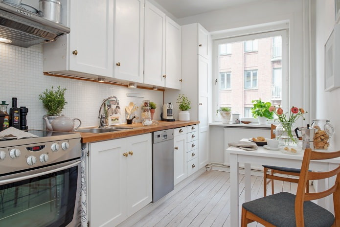 Swedish kitchen interior design