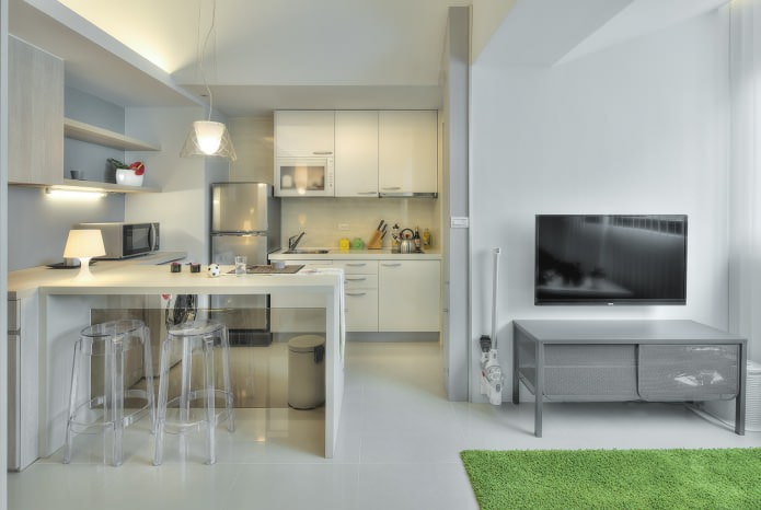 kitchen with a bar counter in the interior design of a studio apartment