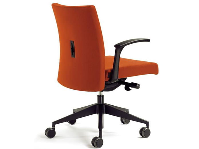 Backrest and spinal cushion in the device of an office chair