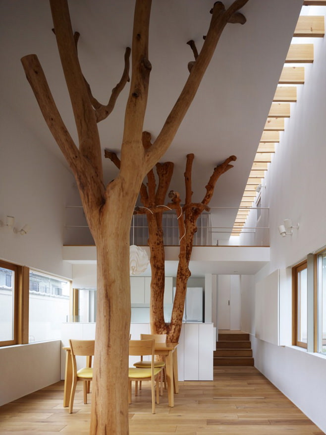 tree inside the house
