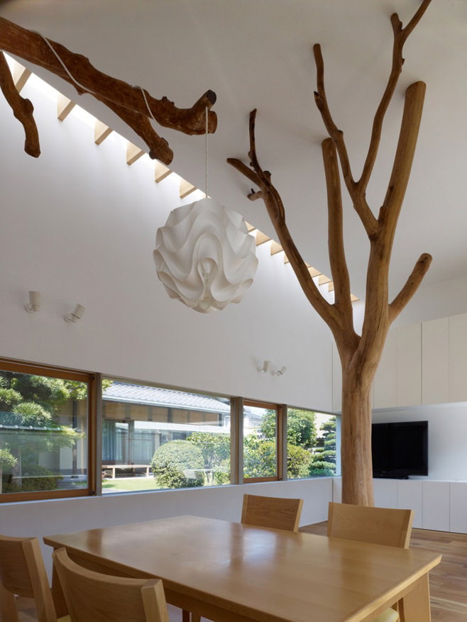 trees inside the house