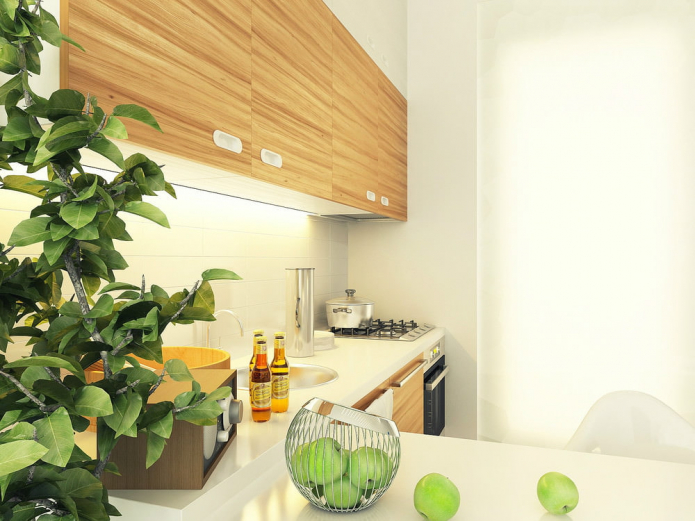 kitchen in the design project of the studio 29 sq. m.