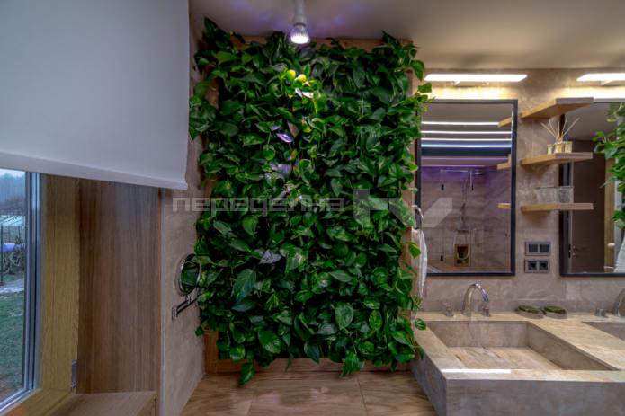 live plants on the walls in the bathroom interior