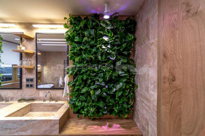 live plants on the walls in the bathroom interior