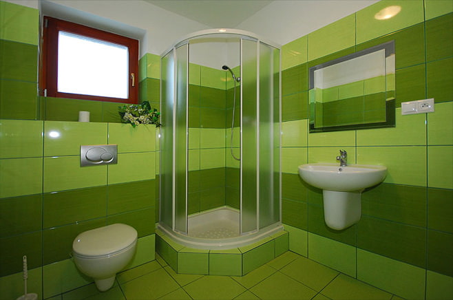 Photo of a green bathroom