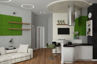 Proyekto sa interior design ng isang apartment na may hindi standard na layout