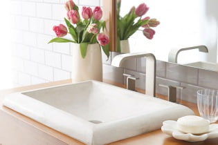 Choosing a bathroom sink: installation methods, materials, shapes