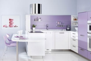 Kitchen design in lilac tones: features, photos