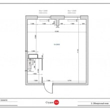 Design of a studio apartment 46 sq. m. with a bedroom in niche-1