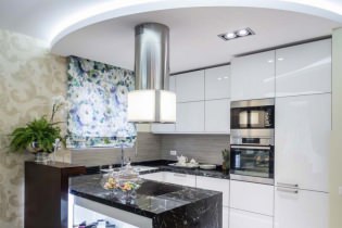 ฝ้าเพดานยิปซั่มในห้องครัว: ออกแบบ, ภาพถ่าย