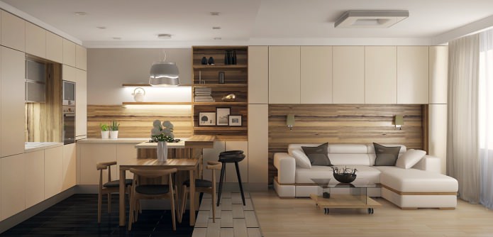การออกแบบห้องครัวห้องนั่งเล่นในอพาร์ตเมนต์: 7 โครงการที่ทันสมัย