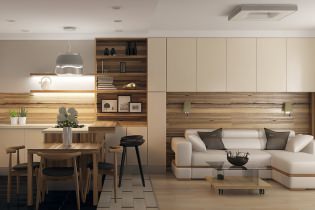 Konyha-nappali kialakítása egy lakásban: 7 modern projekt