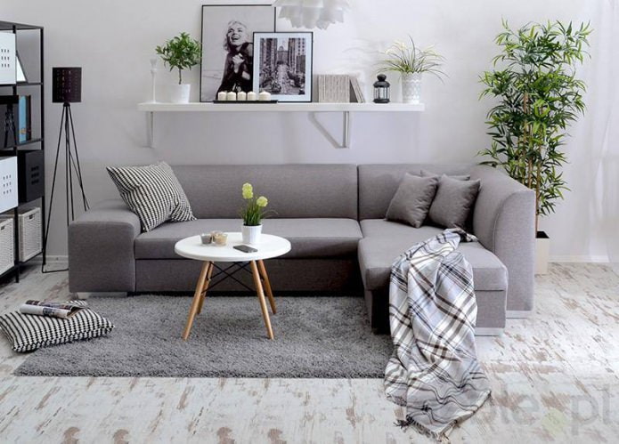 Eurobook sofa: transformation mechanism, types of sofas, photo