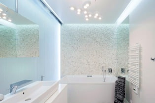 Moderní interiér koupelny: 60 nejlepších fotografií a designových nápadů