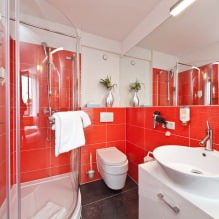 Interiér koupelny v moderním stylu: 60 nejlepších fotografií a nápadů pro design-11