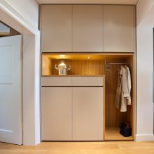 Milyen szép egy folyosót készíteni egy lakásban: tervezési ötletek, elrendezés és elrendezés-8