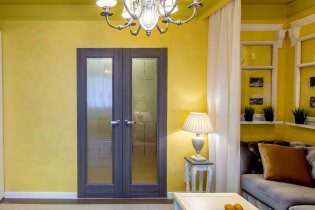 Interior doors in the interior: 60 modern photos and ideas