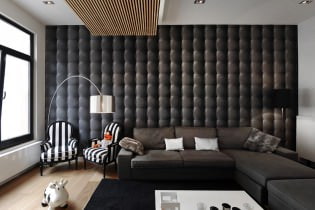 Wall decoration in the living room: choice of colors, finishes, accent wall in the interior