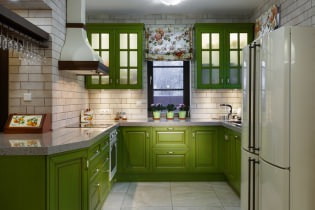Grünes Küchenset: Auswahlmöglichkeiten, Kombinationen, 60 Fotos