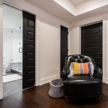 Dark doors in the interior: combination with the color of the floor, walls, furniture (60 photos) -5