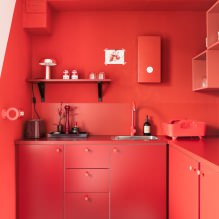 Црвена боја у ентеријеру: вредност, комбинација, стилови, декорација, намештај (80 фотографија) -13
