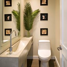 Kis WC-belső tér: jellemzők, kialakítás, szín, stílus, 100+ fotó-1