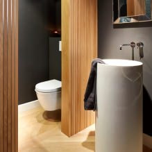 Kis WC-belső tér: jellemzők, tervezés, szín, stílus, 100+ fotó-22