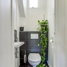 Kis WC-belső tér: jellemzők, tervezés, szín, stílus, 100+ fotó-0
