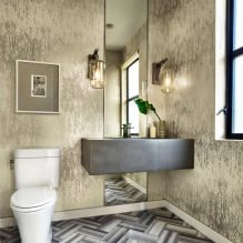 Kis WC-belső tér: jellemzők, tervezés, szín, stílus, 100+ fotó-19