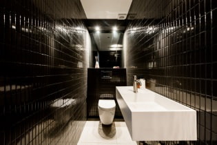 Malý interiér toalety: funkce, design, barva, styl, více než 100 fotografií
