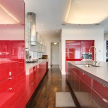 Rotes Küchenset: Funktionen, Typen, Kombinationen, Stilauswahl und Vorhänge-5