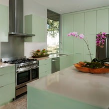 Interior in mint tones: combinations, choice of style, decoration and furniture (65 photos) -10