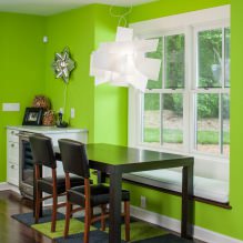 Hellgrüne Farbe im Innenraum: Kombinationen, Stilwahl, Dekoration und Möbel (65 Fotos) -2