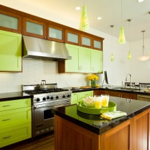 Светло зелена боја у ентеријеру: комбинације, избор стила, декорација и намештај (65 фотографија) -4