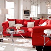 Piros kanapé a belső térben: típusok, kialakítás, tapétával és függönyökkel kombináció-8
