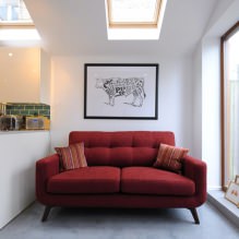 Piros kanapé a belső térben: típusok, kialakítás, tapétával és függönyökkel kombináció-7
