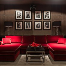 Piros kanapé a belső térben: típusok, kialakítás, tapétával és függönyökkel kombináció-29