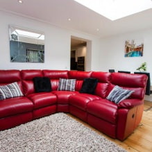 Red sofa in the interior: types, design, combination with wallpaper and curtains-0