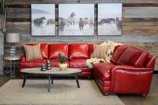 Rotes Sofa im Innenraum: Typen, Design, Kombination mit Tapeten und Vorhängen