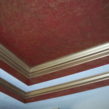 วอลล์เปเปอร์เหลวบนเพดาน: ภาพถ่ายในการตกแต่งภายใน, ตัวอย่างที่ทันสมัยของการออกแบบ-4