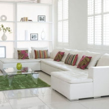 White sofa sa interior: 70 modernong mga larawan at disenyo ng mga ideya-0
