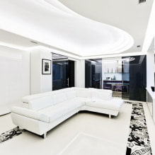 Fehér kanapé a belső térben: 70 modern fotó és tervezési ötlet-1