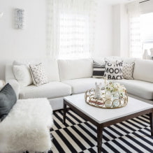 White sofa sa interior: 70 modernong mga larawan at disenyo ng mga ideya-12