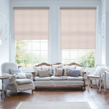 How to choose roller blinds: construction, types, materials, design, color, combination-1